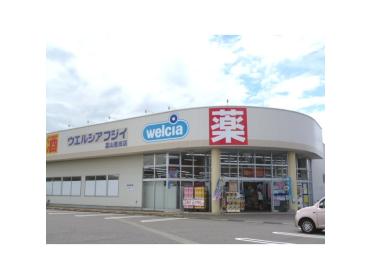 ウエルシア富山豊田店：1142m