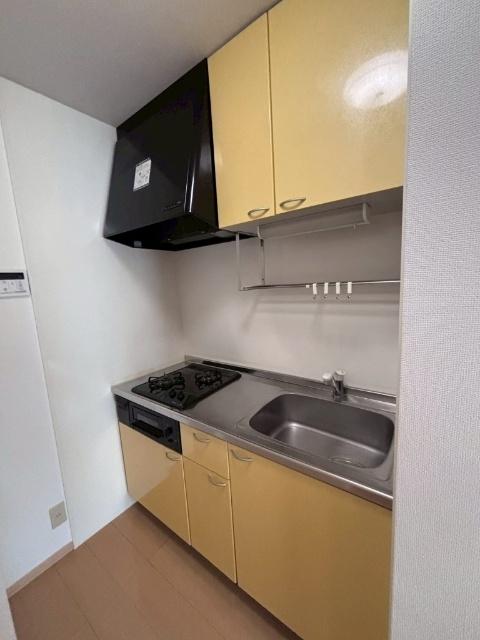 アムゥル松田（101） キッチン