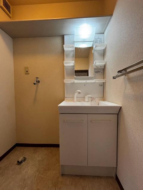 フォンティーヌ今泉（A102） 洗面