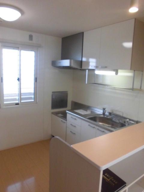 D-Room中川原（201） キッチン