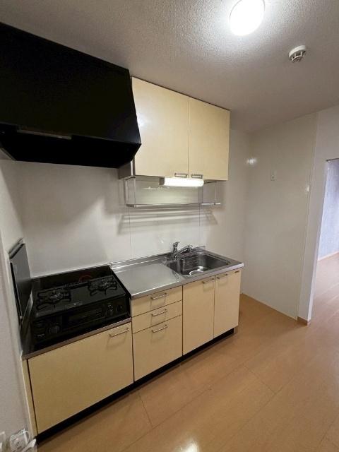 リビングタウン下新北町（101） キッチン