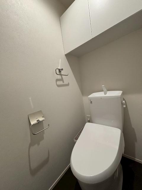 D-Grande桃井町（101） トイレ