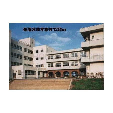 長坂台小学校：20m