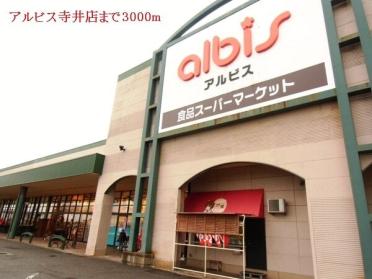 アルビス寺井店：3000m