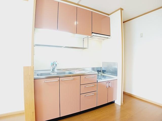 エクセルシオール和泉Ⅴ（201） キッチン