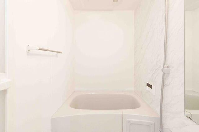 フローリッシュ（105） 部屋画像