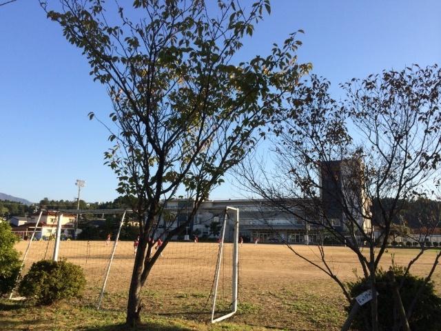 能美市立宮竹小学校：2121m