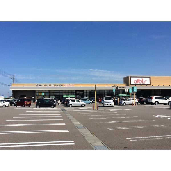 アルビス城南店