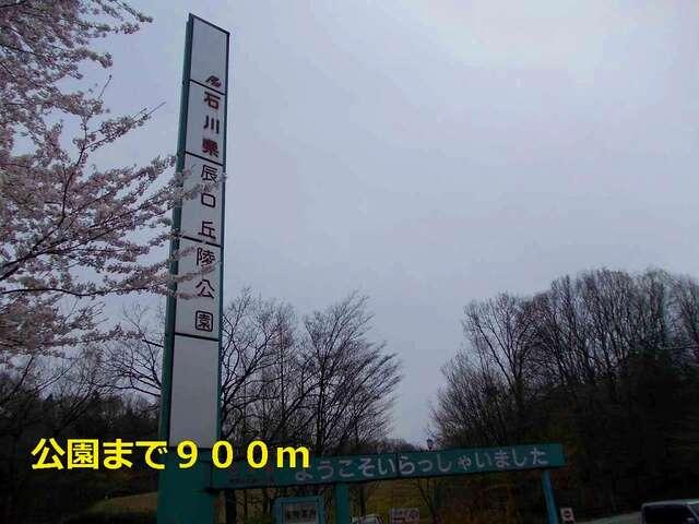 公園：900m