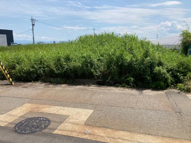 土地1