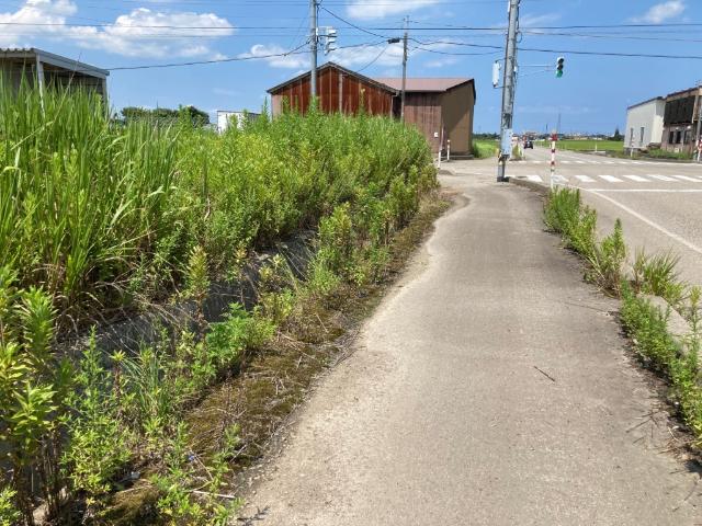 土地2