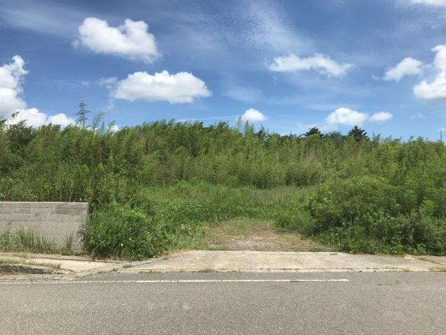 土地2