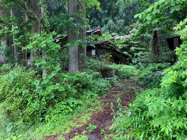 小松市大杉町の売土地 土地
