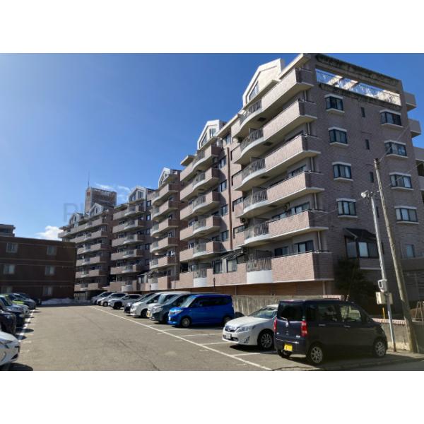 信開ダイナスティ浅野川クイーンズ