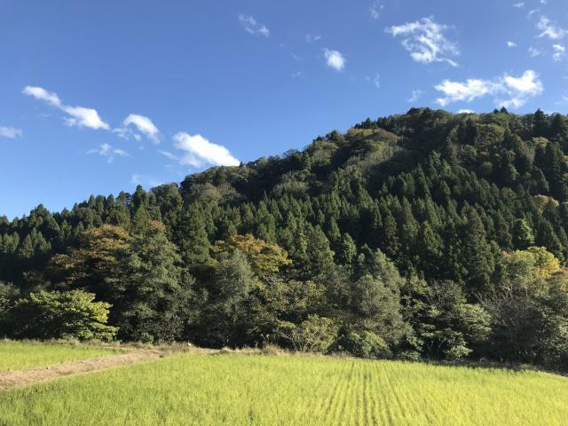 小松市大杉町の売土地 土地画像