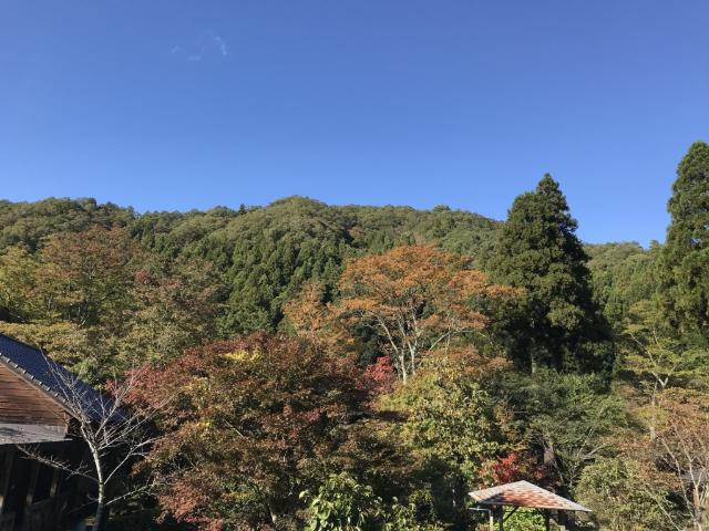 小松市大杉町の売土地 土地画像
