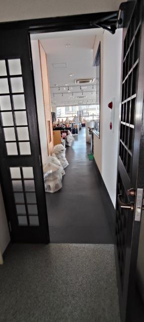 小松市御館町売り住宅付き店舗 土地画像
