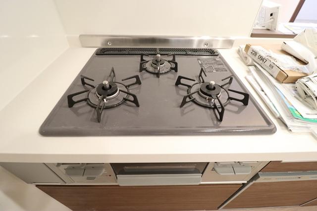 D-セアリス椿森（101） 部屋画像