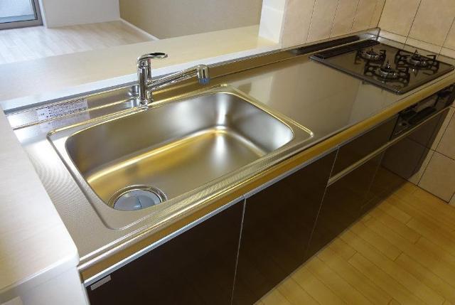 コスモス 部屋画像