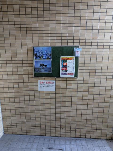 川上ビル 物件画像