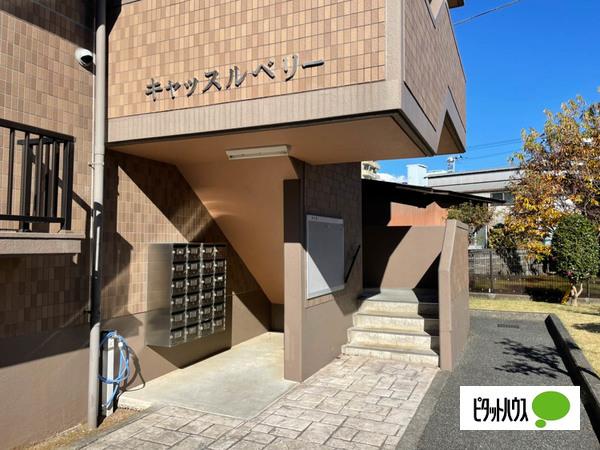 キャッスルベリー（4A） エントランス