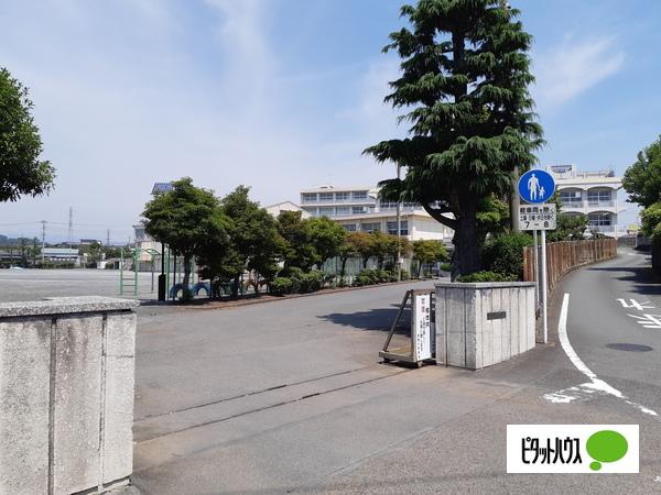 富士市立鷹岡小学校：1033m