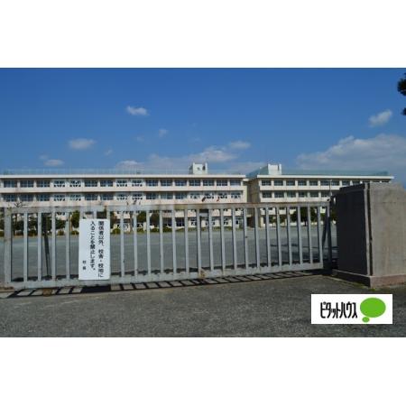 富士市立吉原小学校：771m