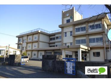 富士市立富士南小学校：524m