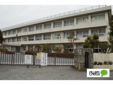 富士市立富士見台小学校：446m