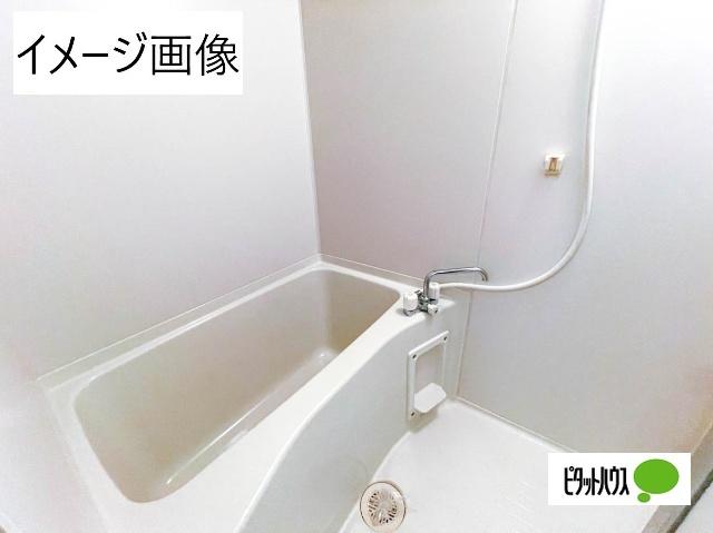 メゾンかりがね（303） 部屋画像