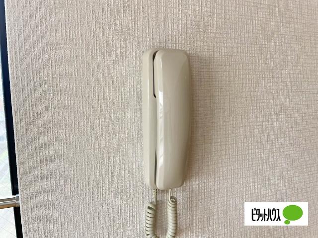 丘の上のマンション（305） セキュリティ