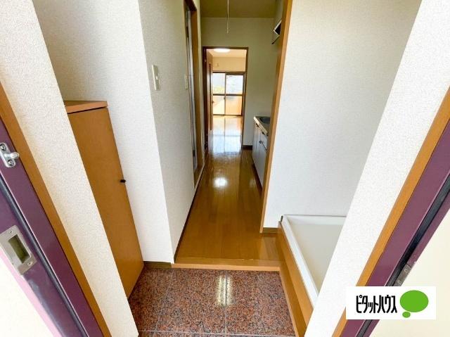 サンズ杉の木（303） 部屋画像
