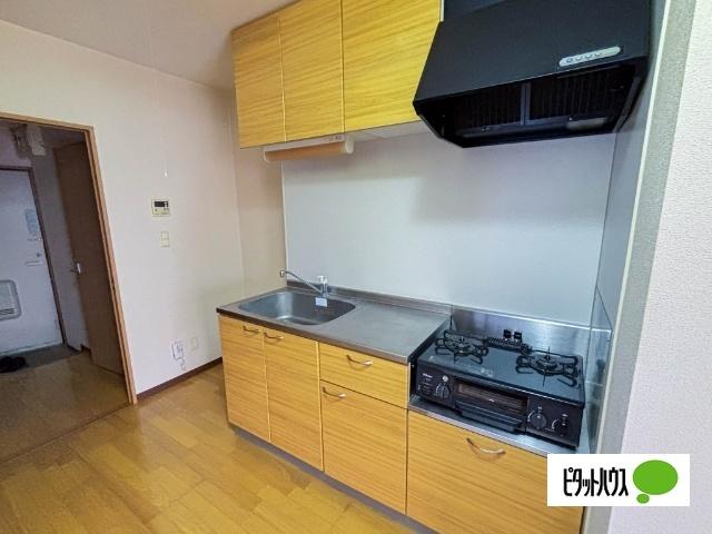 シャトー江ミーナ（101） キッチン