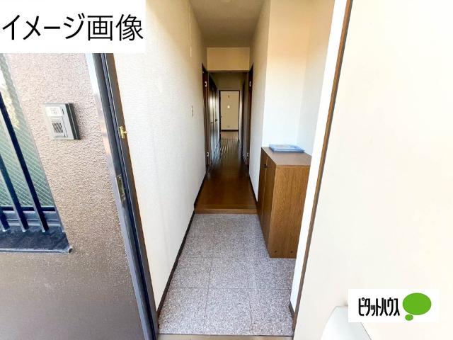 スプランディード（301） 玄関