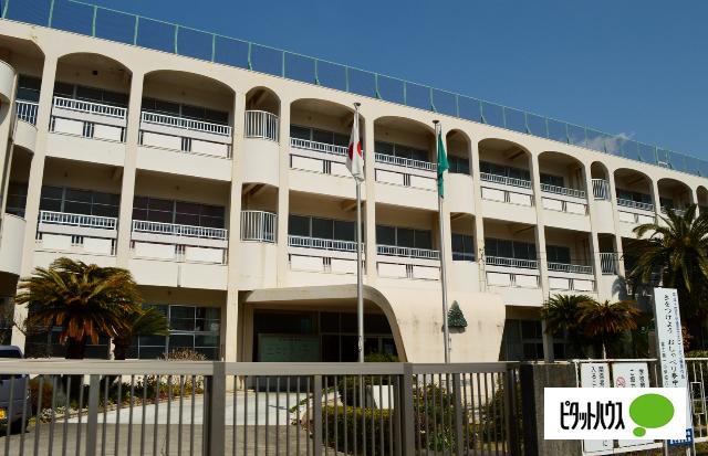 富士市立富士第一小学校：2646m