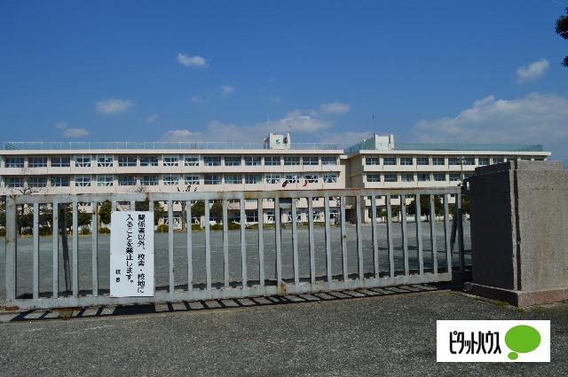 富士市立吉原小学校：982m