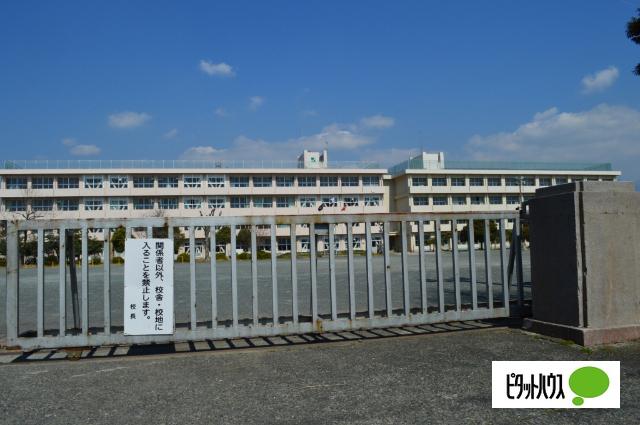 富士市立吉原小学校：736m