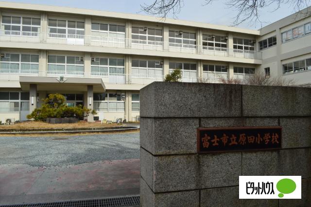 富士市立原田小学校：584m