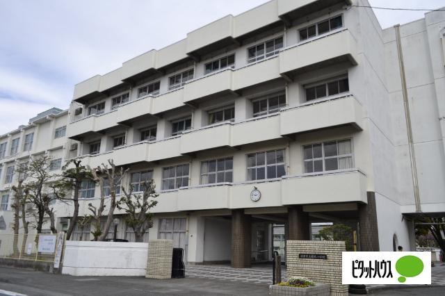 沼津市立開北小学校：331m