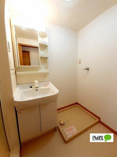 フラン淀川（306） 洗面