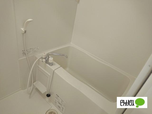 サンフォンテ　C（105） 部屋画像