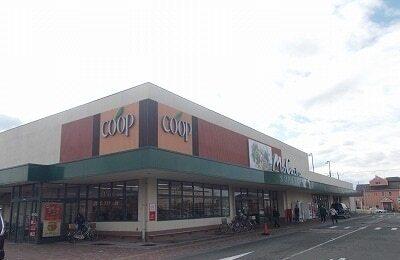 コープミオクチーナ新沢田店：600m