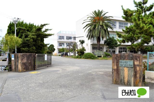 富士市立田子浦小学校：715m