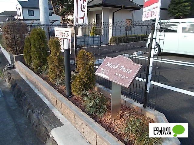 マーク・ピュア（101） その他