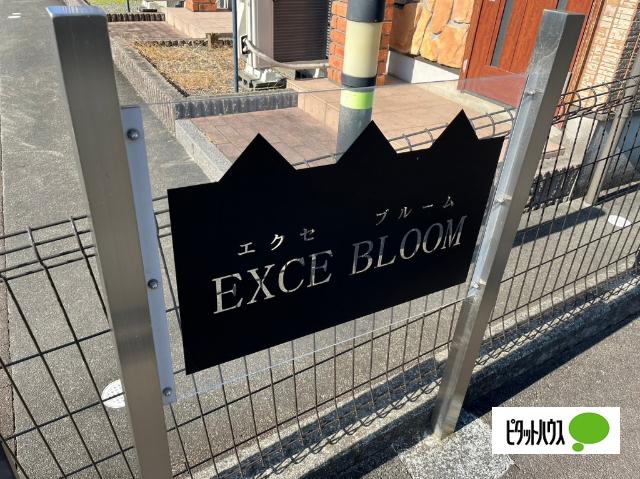 EXCE BLOOM（103） その他