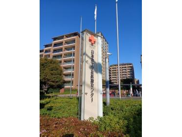 日本赤十字社医療センター：489m