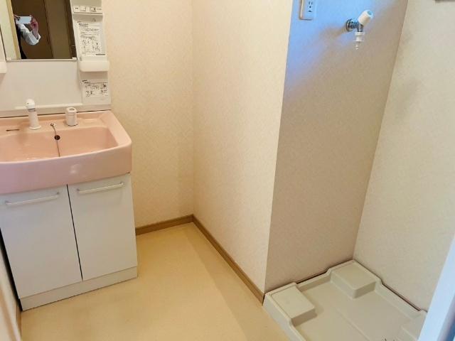 グリーンハイツ片桐 洗面