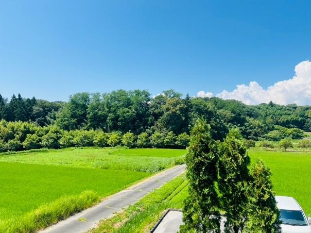 新賀ハイツ 眺望