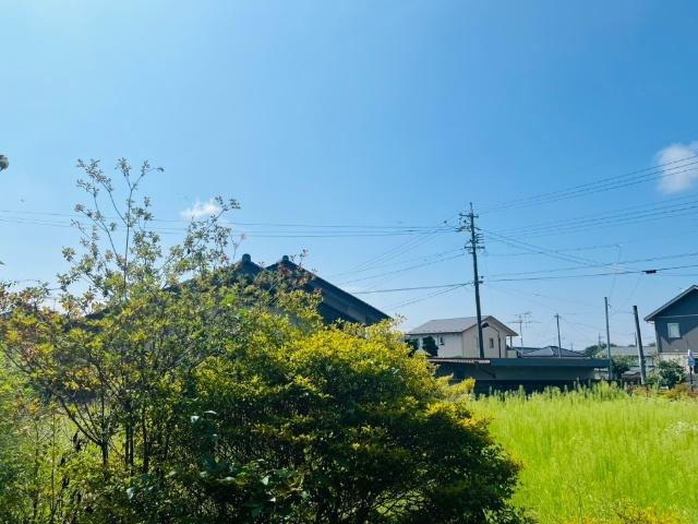Surplus　Oneサツミ 眺望