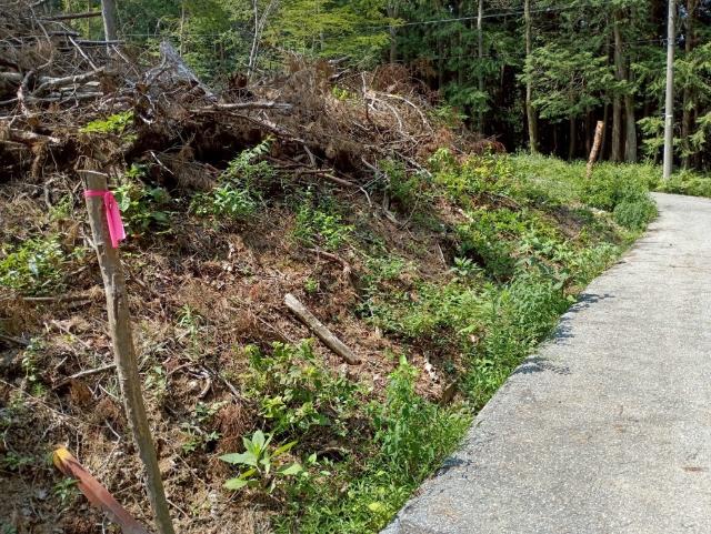 下伊那郡高森町山吹土地 土地